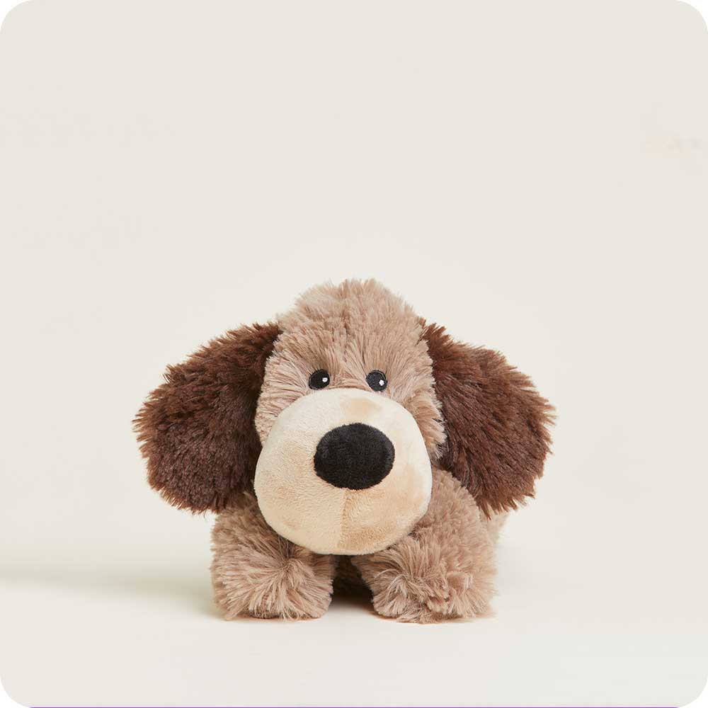 CPJ-DOG-1-Brown-Dog-Junior-02_aee920aa-656e-49c7-bcf5-a6dbbca89399-1