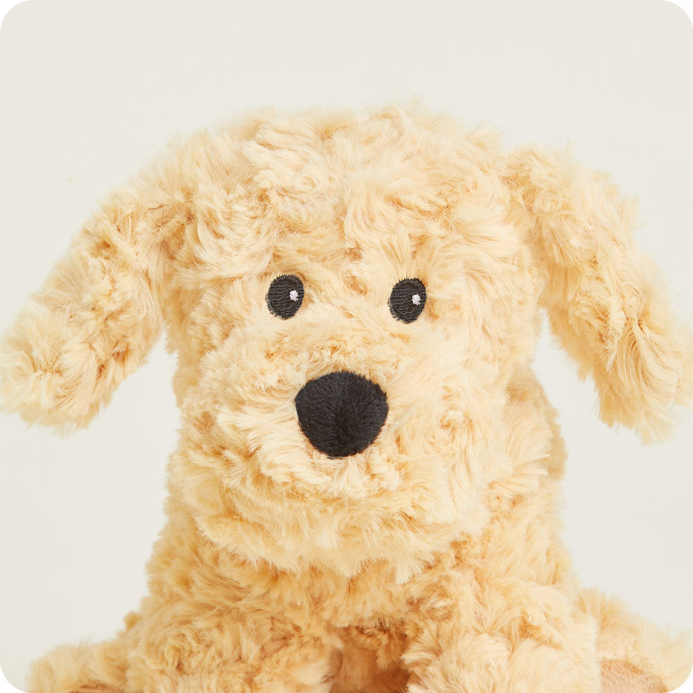 CPJ-DOG-3-Golden-Dog-Junior-03-1-1