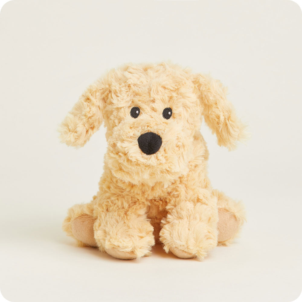 CPJ-DOG-3-Golden-Dog-Junior-03-2