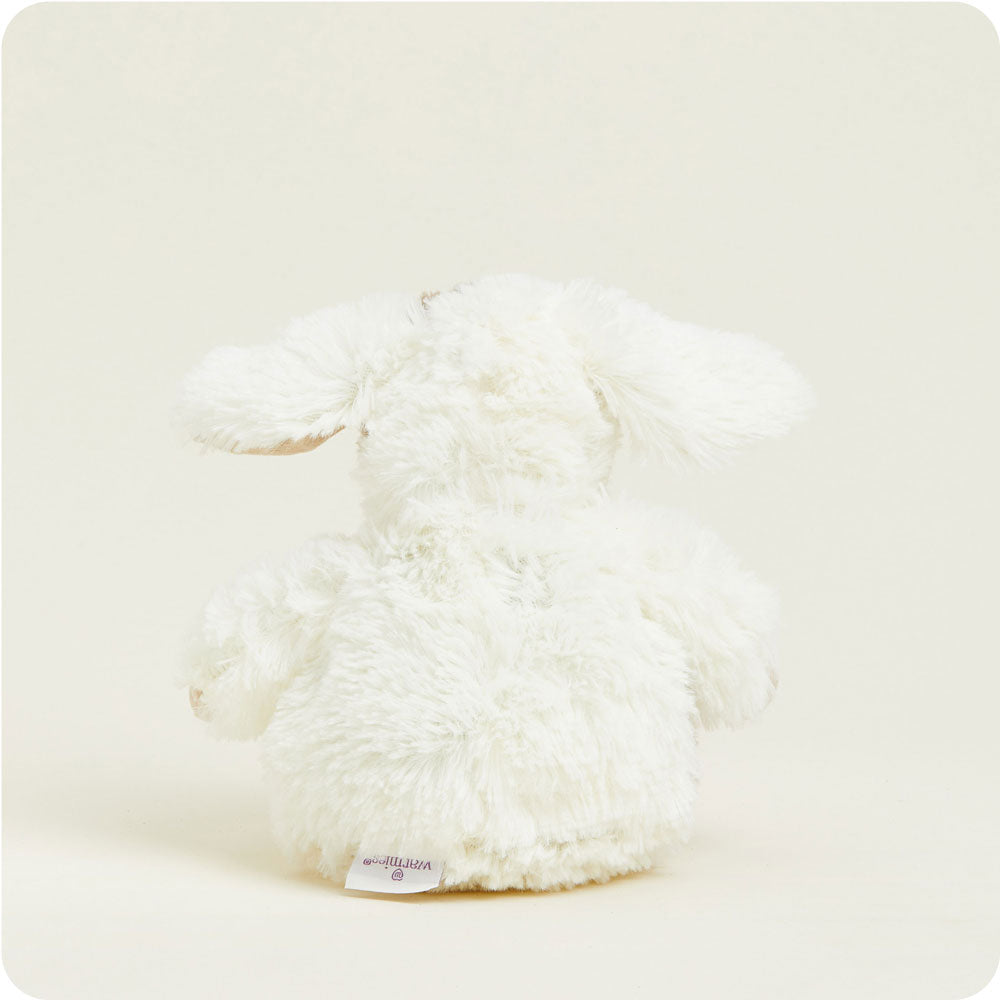 CPJ-PUP-1-Puppy-Junior-04-Crop-2