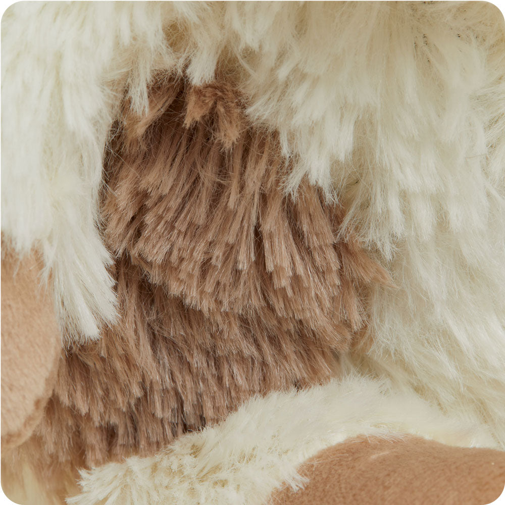 CPJ-PUP-1-Puppy-Junior-07-3