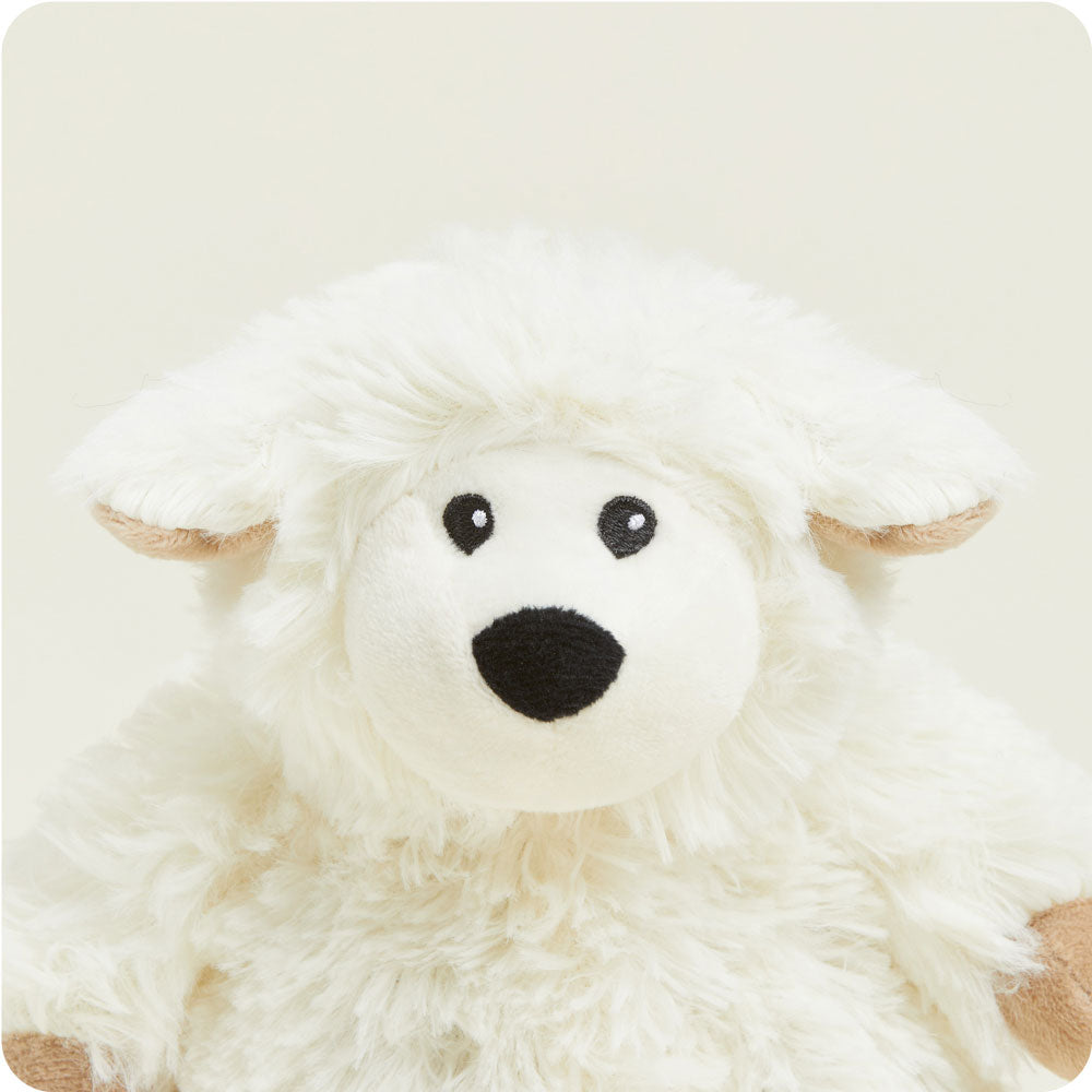 CPJ-SHE-1-Sheep-Junior-01