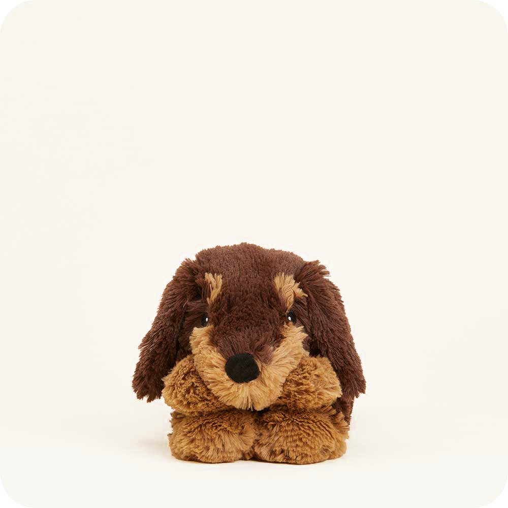 Dachshund-Wrap-01.2_910c4a45-143c-47b3-91d9-70eb99d26af1-2