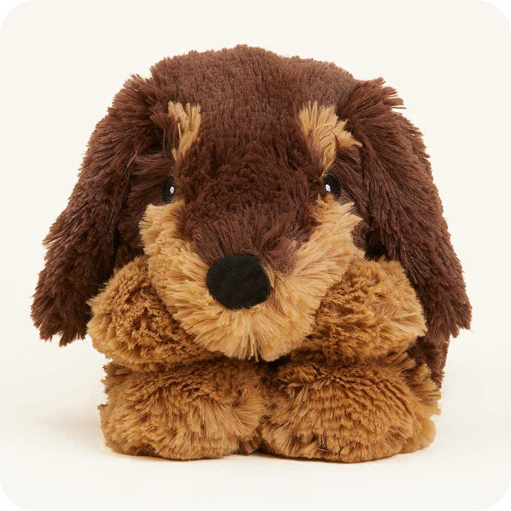 Dachshund-Wrap-02.2_06d2d946-1a07-44f1-b962-cfa3e2867924-2