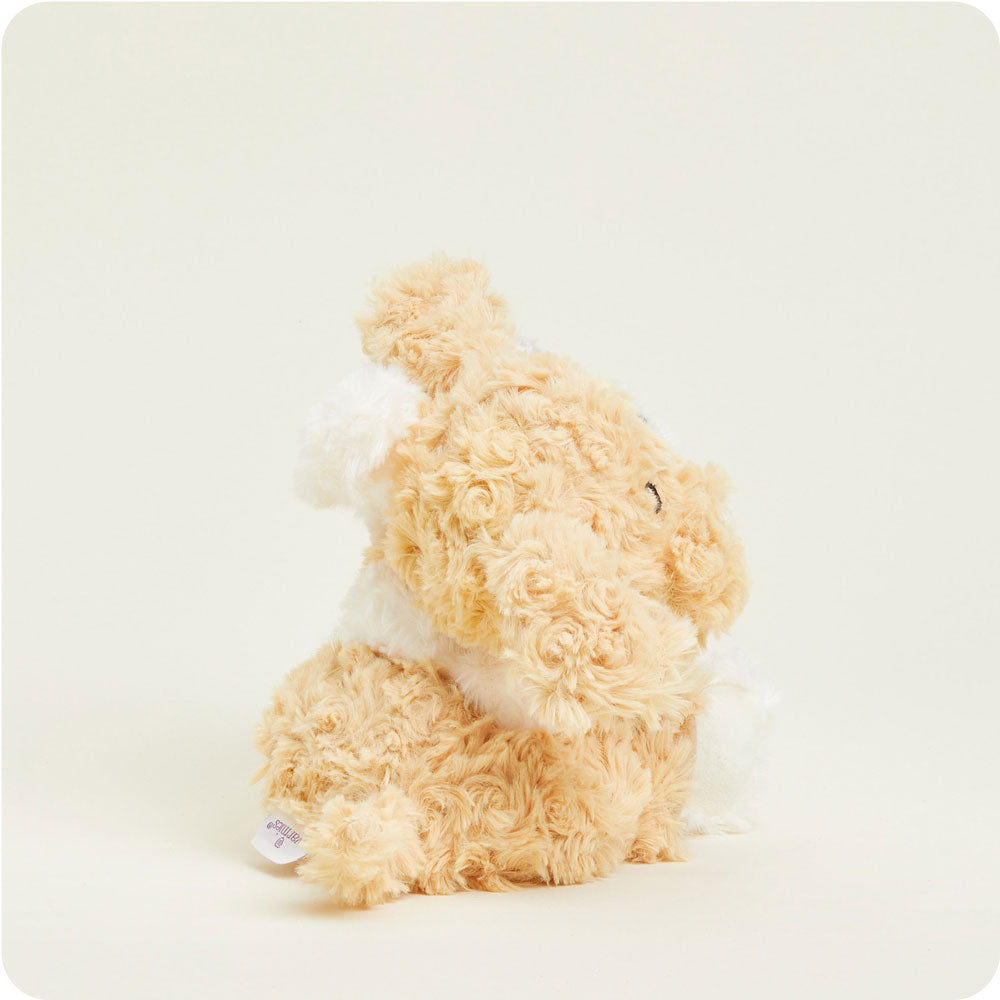 HUGS-PUP-1-Puppy-Hugs-05-Crop-3