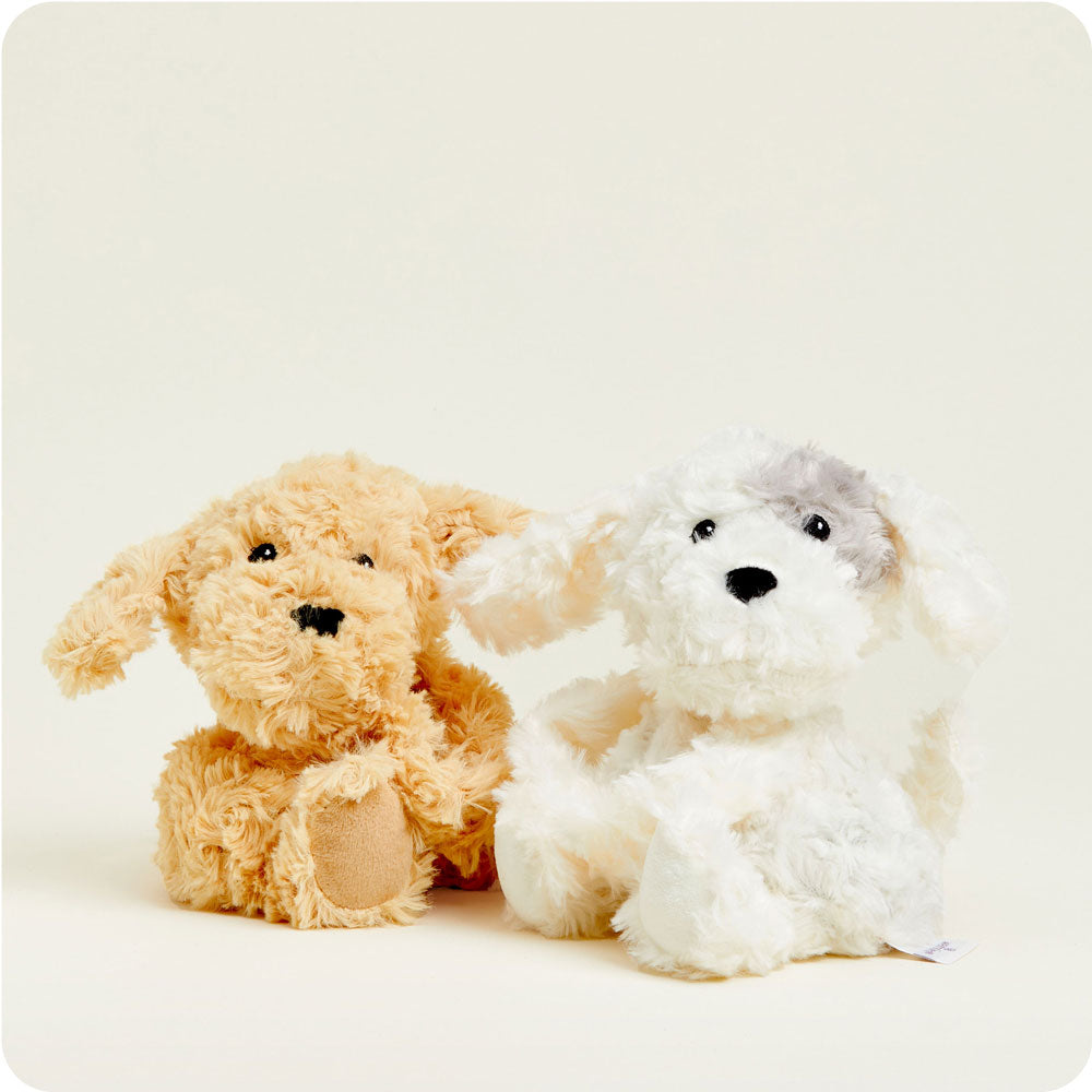 HUGS-PUP-1-Puppy-Hugs-06-Crop-4